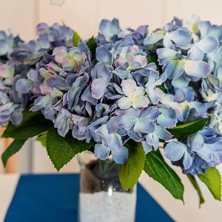 El Tucan Apartmán Tías