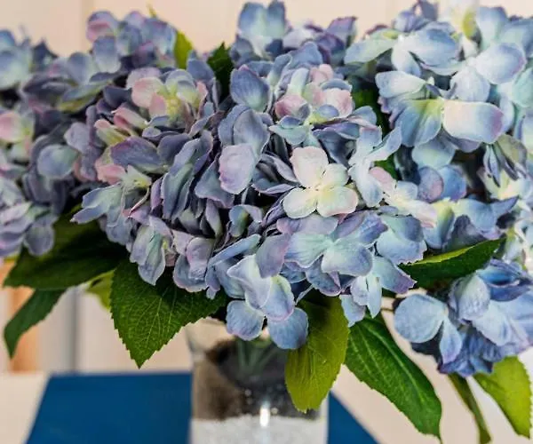 El Tucan Appartement Tías